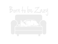 Born to be Lazy sticker